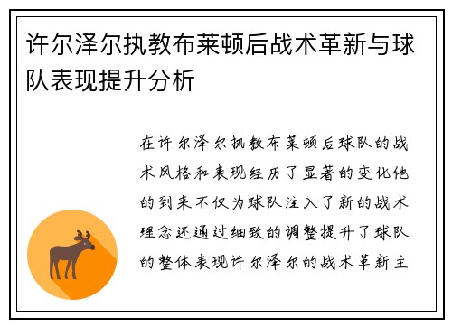 许尔泽尔执教布莱顿后战术革新与球队表现提升分析 许尔泽尔执教布莱顿后战术革新与球队表现提升分析